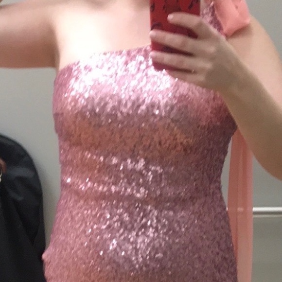 Pink and Silver Ombré Sequin Gown - Picture 5 of 5